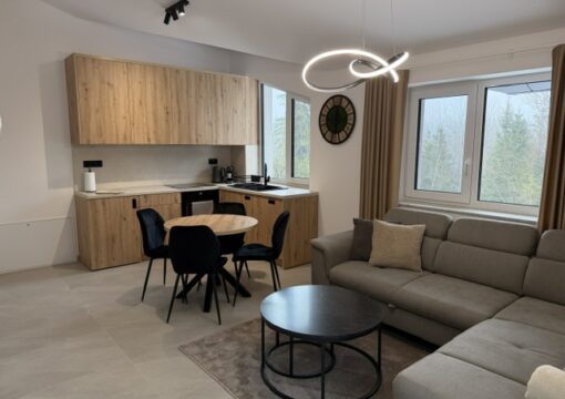 Apartmán Slaná voda